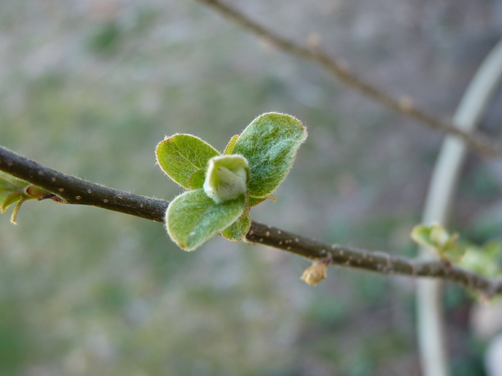 No s'ha trobat l'arxiu